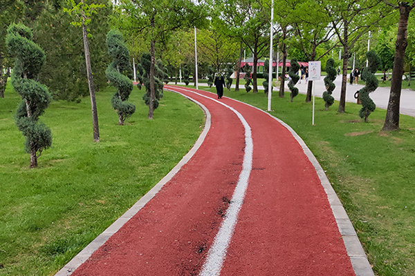 Jogging Track